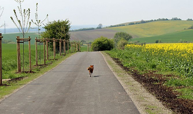 Sieg nach Punkten f&uuml;r kn (Foto: Karl-Heinz Herrmann)