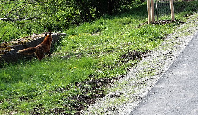 Sieg nach Punkten f&uuml;r kn (Foto: Karl-Heinz Herrmann)