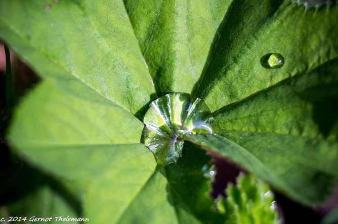Wetter-Bild (Foto: Gernot Thelemann) Wetter-Bild (Foto: Gernot Thelemann)