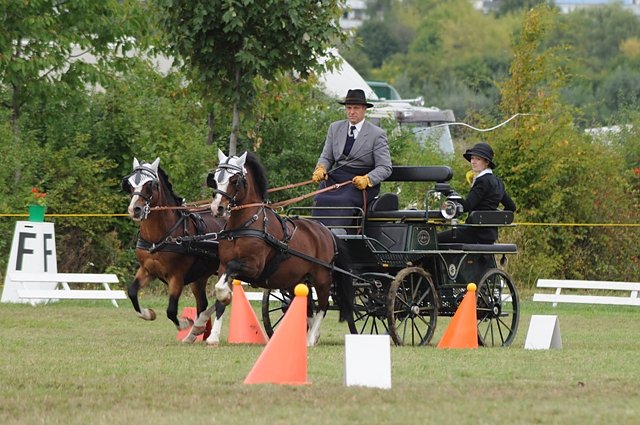 Turnierstart (Foto: Ilka Zimmermann)