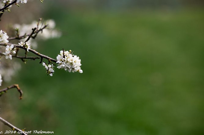 Wetter-Bild (Foto: Gernot Thelemann)