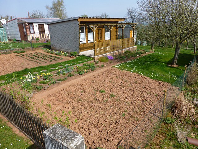 Kleingarten (Foto: Reinhold Przywarra) Kleingarten (Foto: Reinhold Przywarra)