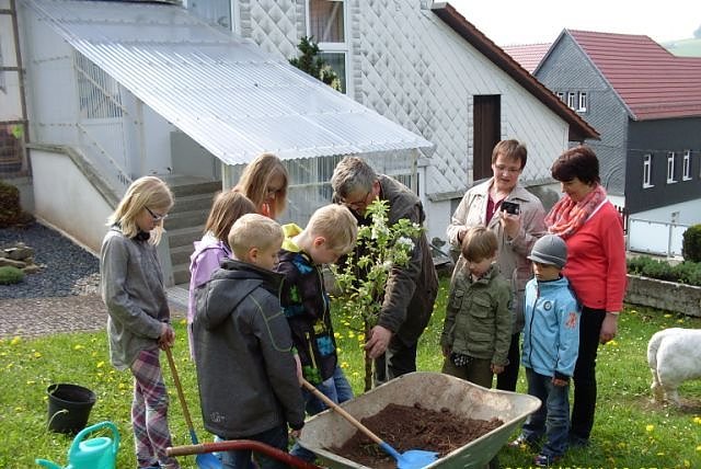 Baum pflanzen (Foto: Pfr. Haase)