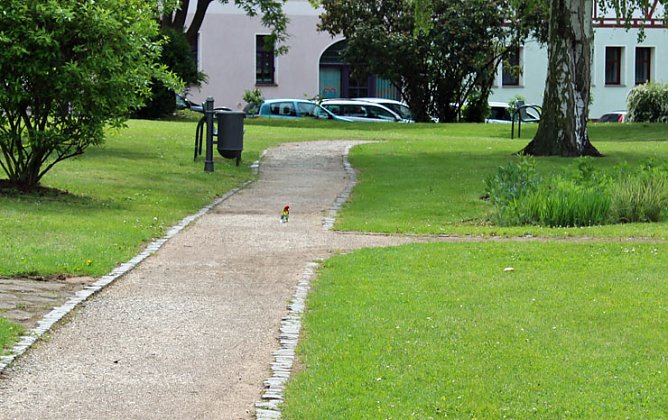 Papageien in Bad Frankenhausen (Foto: Karl-Heinz Herrmann) Papageien in Bad Frankenhausen (Foto: Karl-Heinz Herrmann)