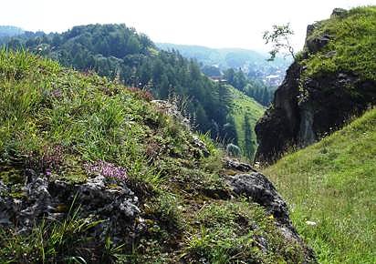 Auf dem Karstwanderweg (Foto: Jessica Pieper)