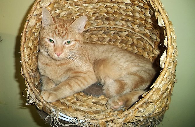 Krümel (Foto: C. Knust) Krümel (Foto: C. Knust)