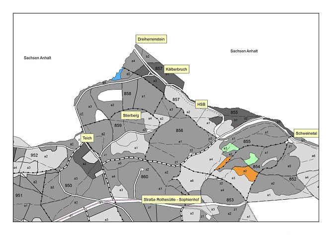 Baumartenbestand im Grenzgebiet (Foto: Th&uuml;ringenforst)
