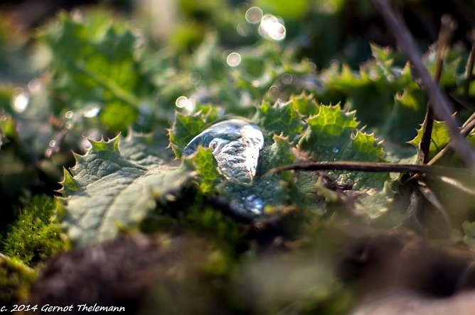Wetter-Bild (Foto: Gernot Thelemann) Wetter-Bild (Foto: Gernot Thelemann)