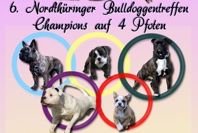 Champions gesucht (Foto: privat)