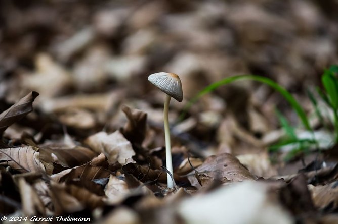 Wetter-Bild (Foto: Gernot Thelemann) Wetter-Bild (Foto: Gernot Thelemann)