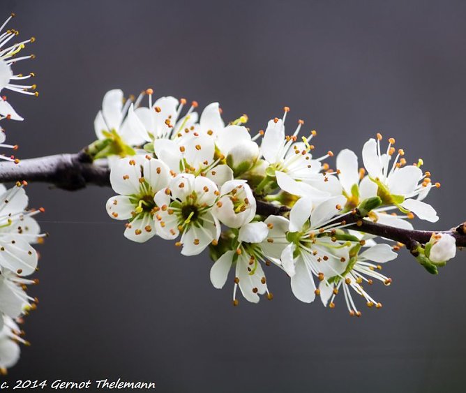 Wetter-Bild (Foto: Gernot Thelemann) Wetter-Bild (Foto: Gernot Thelemann)