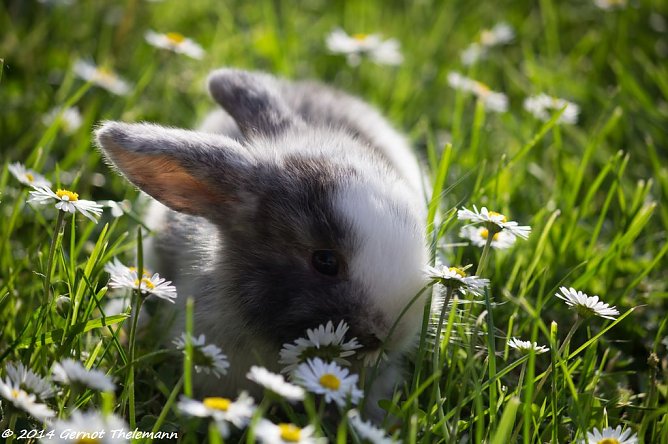 Wetter-Bild (Foto: Gernot Thelemann) Wetter-Bild (Foto: Gernot Thelemann)