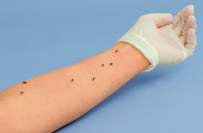 Mückenmittel getestet (Foto: Stiftung Warentest) Mückenmittel getestet (Foto: Stiftung Warentest)