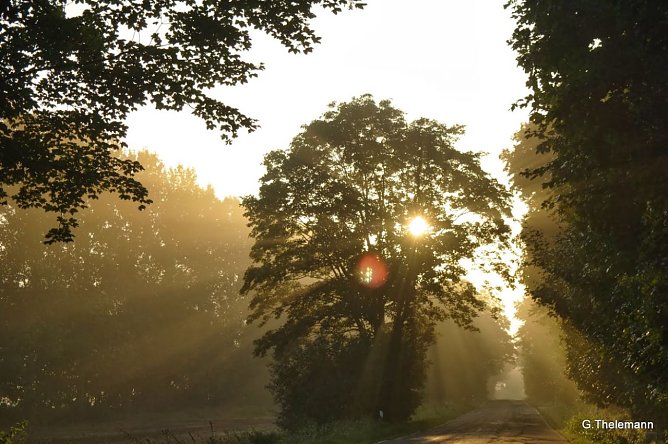 Wetter-Bild (Foto: Gernot Thelemann)