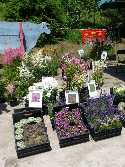 9.Kr&auml;uterfest Friedrichsrode (Foto: Kunsthof Friedrichsrode)