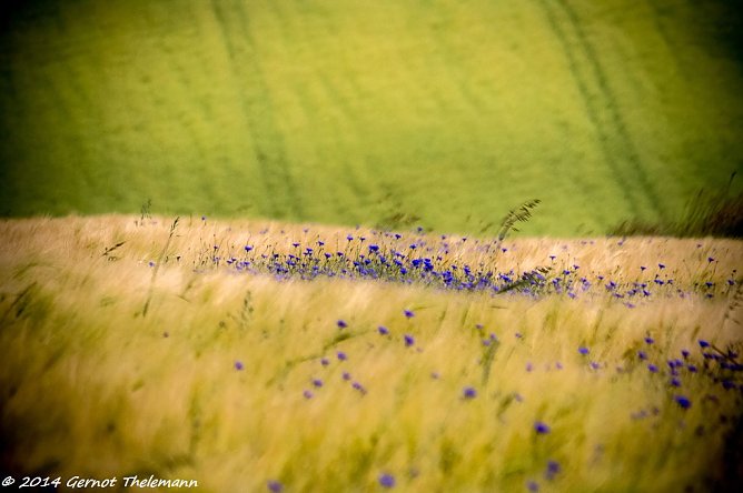 Wetter-Bild (Foto: Gernot Thelemann)