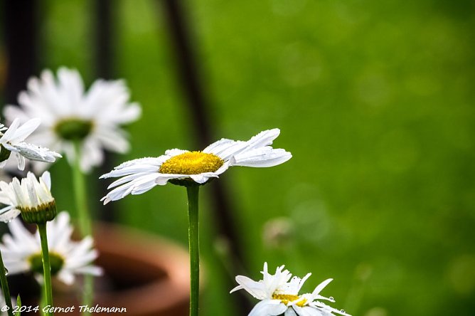 Wetterbild (Foto: Gernot Thelemann) Wetterbild (Foto: Gernot Thelemann)