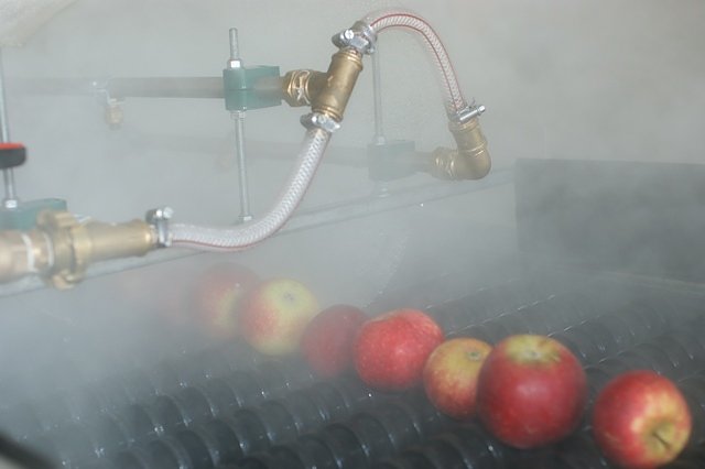 Apfeldusche (Foto: Peter Maxin/Obstbauversuchsanstalt Jork) Apfeldusche (Foto: Peter Maxin/Obstbauversuchsanstalt Jork)