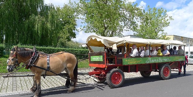 Start (Foto: Werner Probst) Start (Foto: Werner Probst)