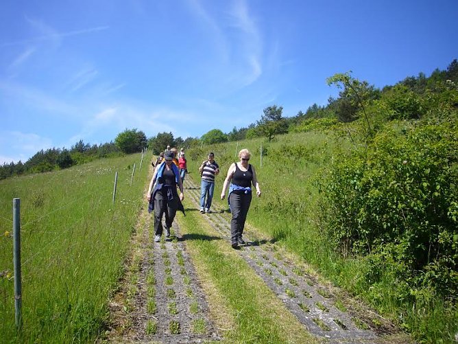 Wandern  (Foto: Katharina Tr&uuml;mper)