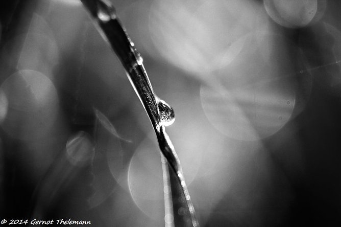 Wetter-Bild (Foto: Gernot Thelemann)