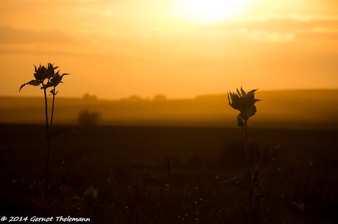 Wetterbild (Foto: Gernot Thelemann)