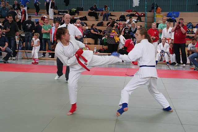 JuJutsu (Foto: Geral Eckert)