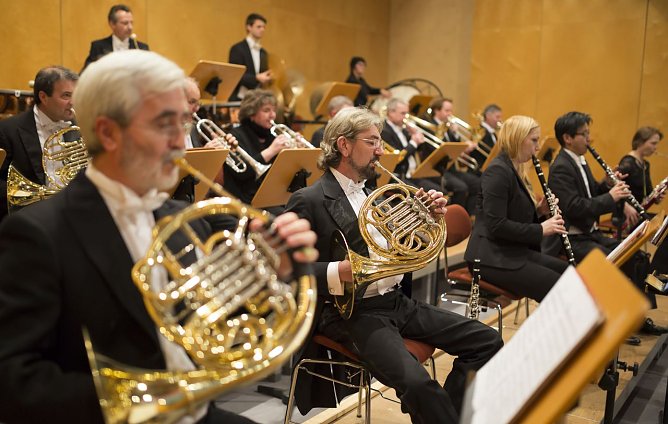 Loh (Foto: T. Graner) Loh (Foto: T. Graner)