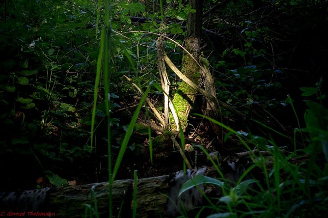 Wetter-Bild (Foto: Gernot Thelemann)