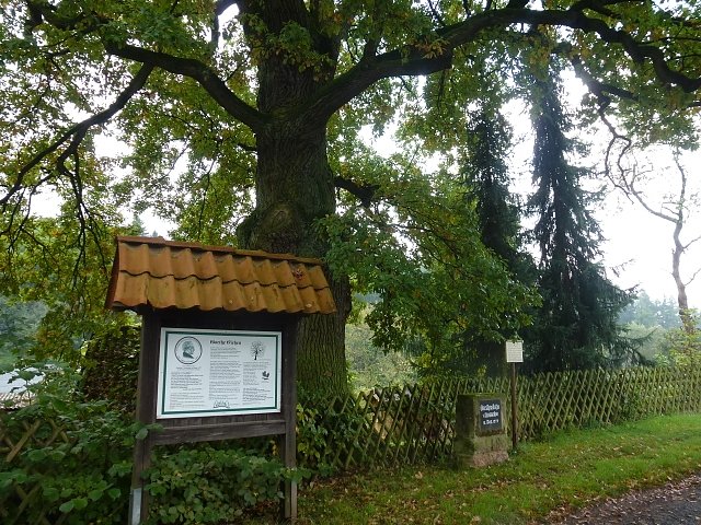 Wanderung am Gr&uuml;nen Band (Foto: Uwe M&uuml;ller)