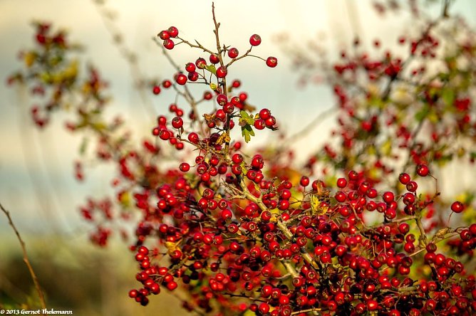Wetter-Bild (Foto: Gernot Thelemann) Wetter-Bild (Foto: Gernot Thelemann)