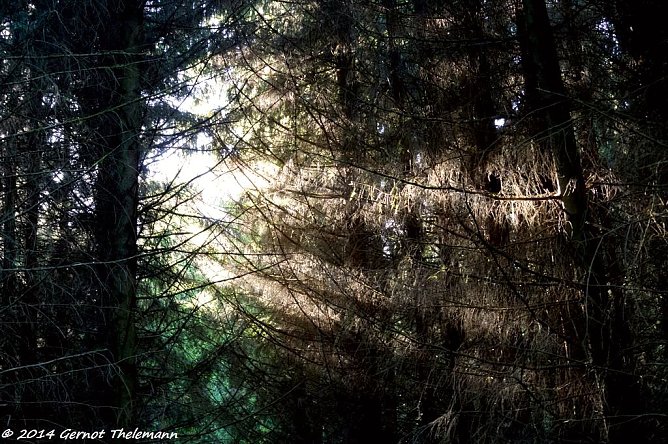 Wetterbild (Foto: Gernot Thelemann) Wetterbild (Foto: Gernot Thelemann)