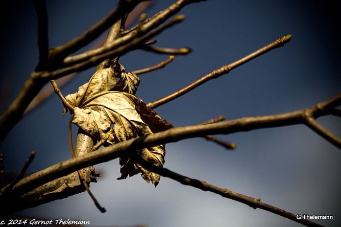 Wetter-Bild (Foto: Gernot Thelemann) Wetter-Bild (Foto: Gernot Thelemann)