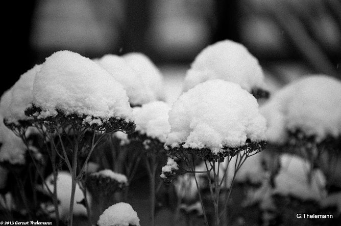 Wetter-Bild (Foto: Gernot Thelemann) Wetter-Bild (Foto: Gernot Thelemann)