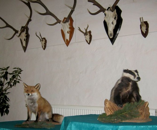 Neue Ausstellung (Foto: Hoffmann)