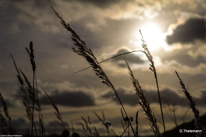 Wetter-Bild (Foto: Gernot Thelemann)