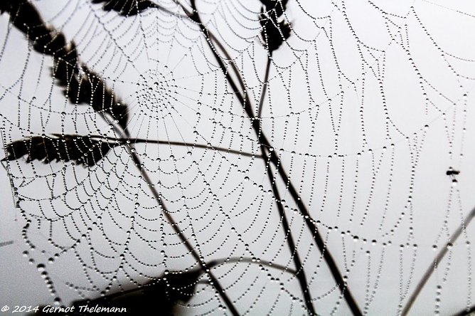 Wetter-Bild (Foto: Gernot Thelemann)