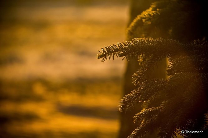 Wetterbild (Foto: Gernot Thelemann)