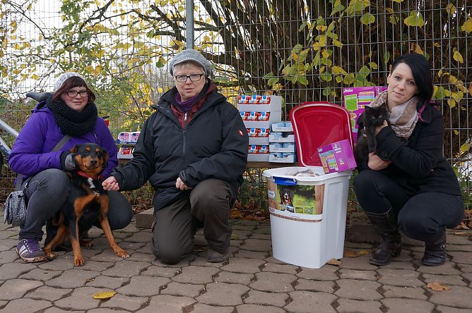 Spenden&uuml;bergabe (Foto: Sandra Witzel)
