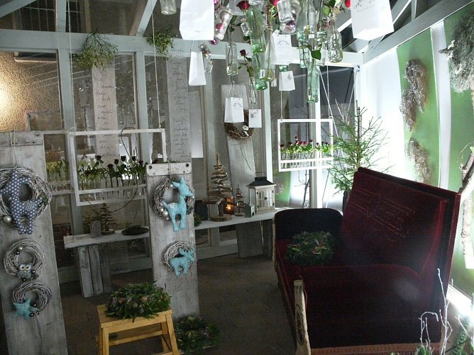 feinblum (Foto: Ilka K&uuml;hn)