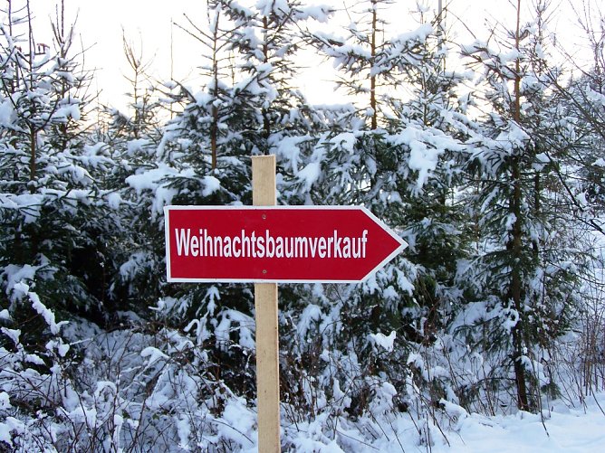Weihnachtsbaumverkauf (Foto: Thüringenforst) Weihnachtsbaumverkauf (Foto: Thüringenforst)