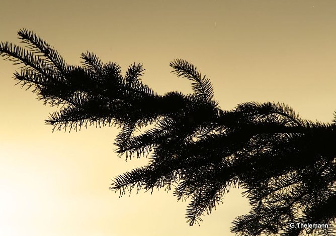 Wetter-Bild (Foto: Gernot Thelemann) Wetter-Bild (Foto: Gernot Thelemann)