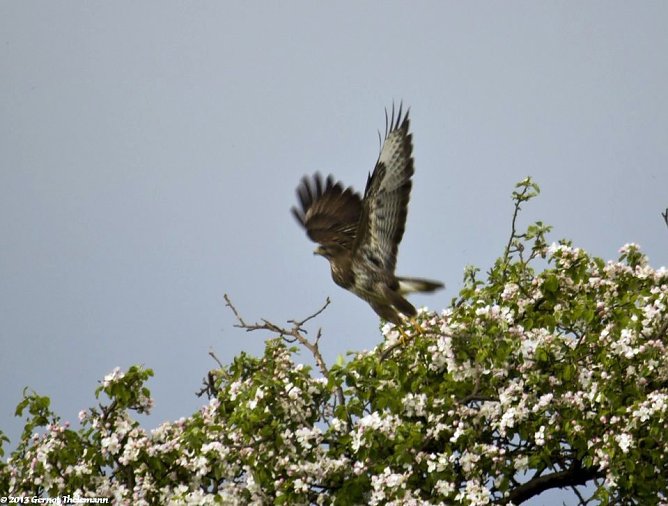 Wetter-Bild (Foto: Gernot Thelemann) Wetter-Bild (Foto: Gernot Thelemann)