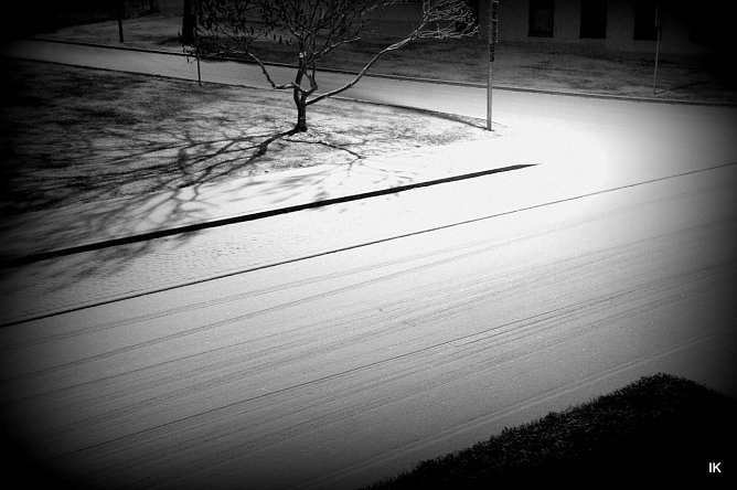 Schnee (Foto: Ilka K&uuml;hn)