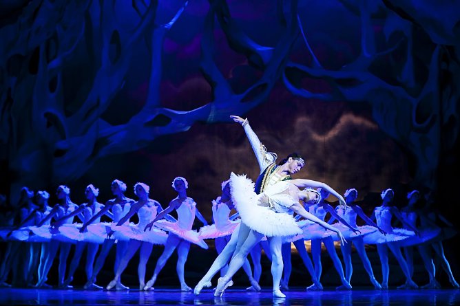 Schwanensee (Foto: Theater)