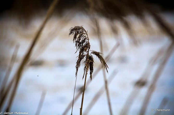 Wetter-Bild (Foto: Gernot Thelemann) Wetter-Bild (Foto: Gernot Thelemann)
