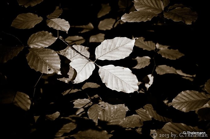Wetterbild (Foto: Gernot Thelemann) Wetterbild (Foto: Gernot Thelemann)