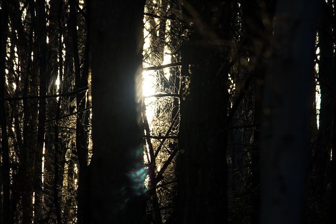 Wetter-Bild (Foto: Gernot Thelemann) Wetter-Bild (Foto: Gernot Thelemann)