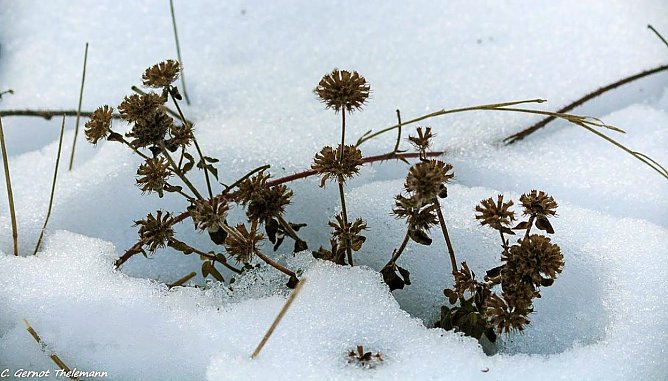 Wetter-Bild (Foto: Gernot Thelemann)