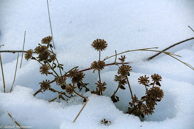Wetterbild (Foto: Gernot Thelemann)